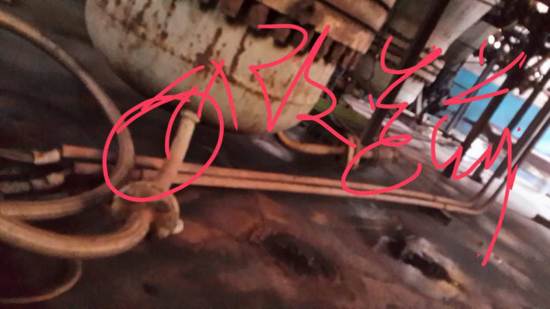 圖片8