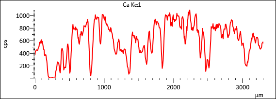 圖片10